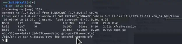 Comprehensive Penetration Testing Projects Image 11