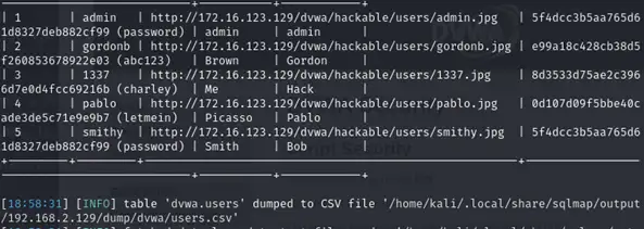 Comprehensive Penetration Testing Projects Image 16