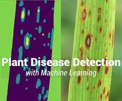 Plant Detector – AI Plant Identification & Disease Detection Image 1