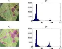 Plant Detector – AI Plant Identification & Disease Detection Image 12
