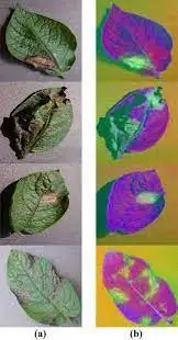 Plant Detector – AI Plant Identification & Disease Detection Image 3