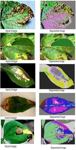 Plant Detector – AI Plant Identification & Disease Detection Image 9